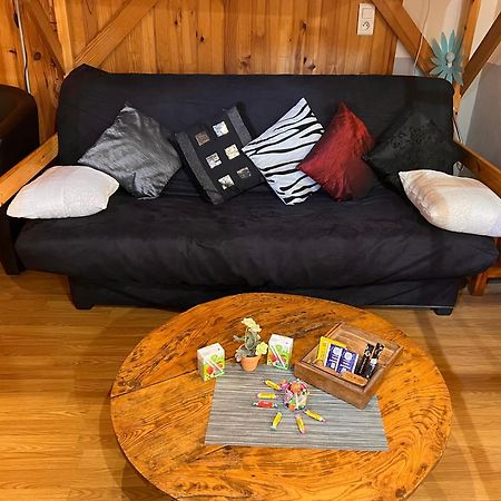 L'Astazou "Pret Gracieux Du Materiel De Ski" Au Studio 뤼생소베르 외부 사진